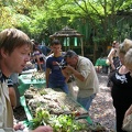 DSCN5279.jpg