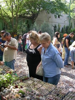 Выставка на День города (02.09.2007)