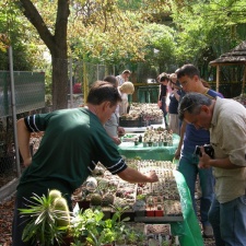 Выставка на День города (02.09.2007)