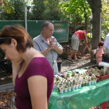 Выставка на День города (02.09.2007)
