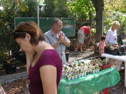 Выставка на День города (02.09.2007)