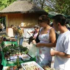 Выставка на День города (02.09.2007)