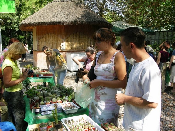Выставка на День города (02.09.2007)