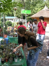 Выставка на День города (02.09.2007)