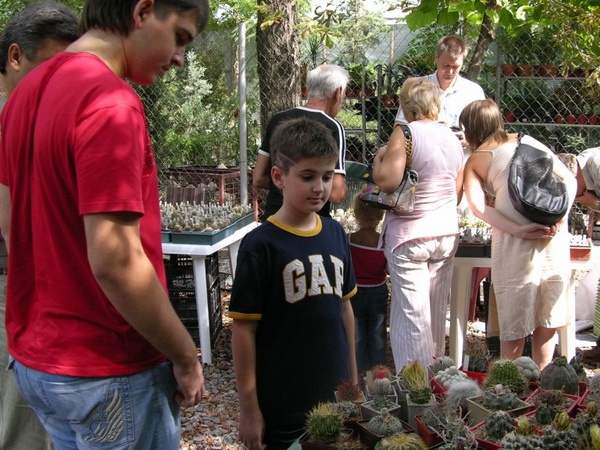 Выставка на День города (02.09.2007)
