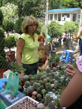 Выставка на День города (02.09.2007)