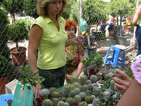 Выставка на День города (02.09.2007)