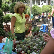 Выставка на День города (02.09.2007)