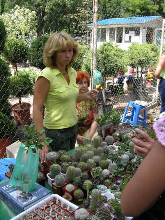 Выставка на День города (02.09.2007)