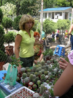 Выставка на День города (02.09.2007)