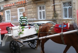 Выставка на День города (02.09.2007)