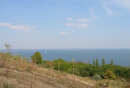 Выставка на День города (02.09.2007)