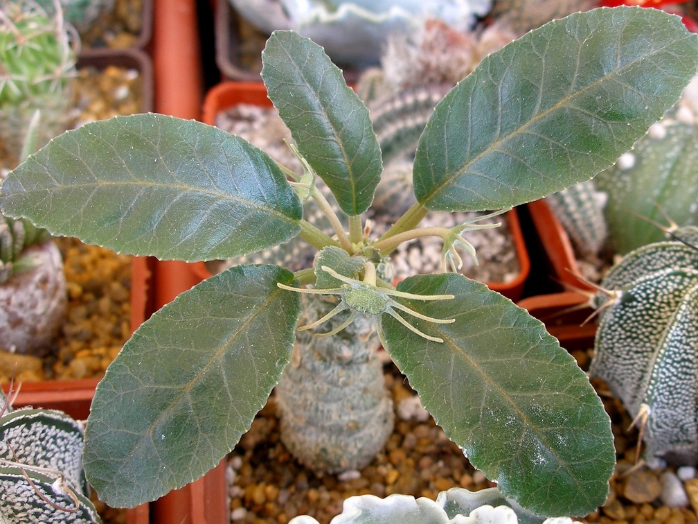 P5090001