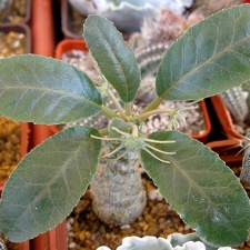 P5090001
