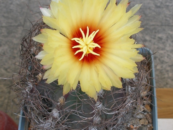 P5090020