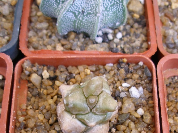 P5090028