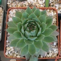 P5090054