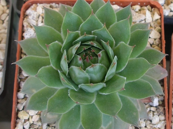 P5090054