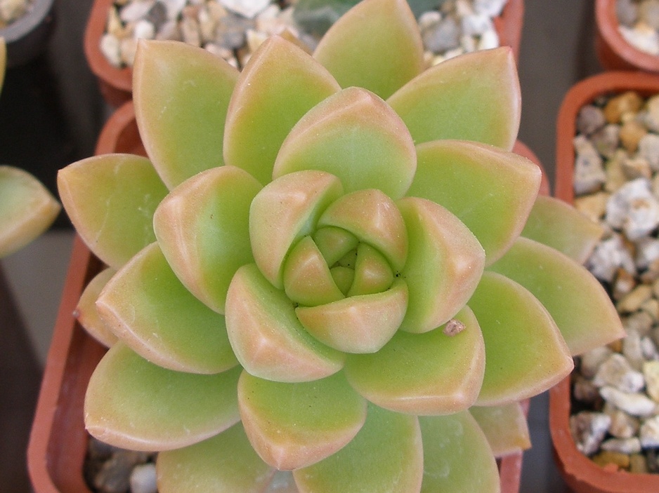 P5090055