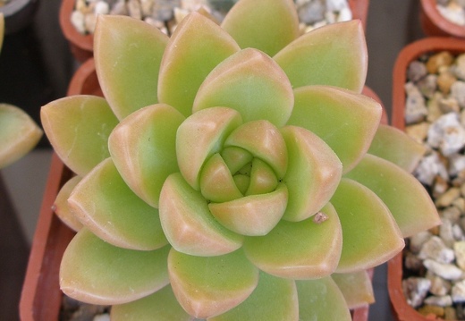 P5090055