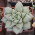 P5090056