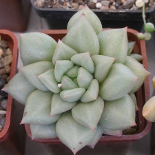 P5090056