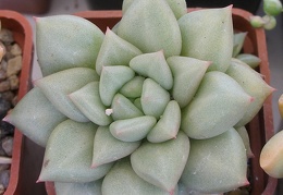 P5090056