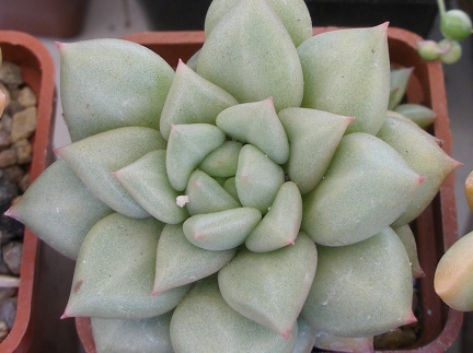 P5090056