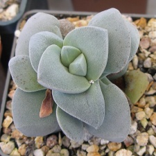 P5090057