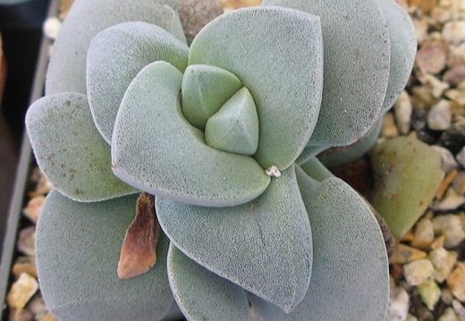 P5090057