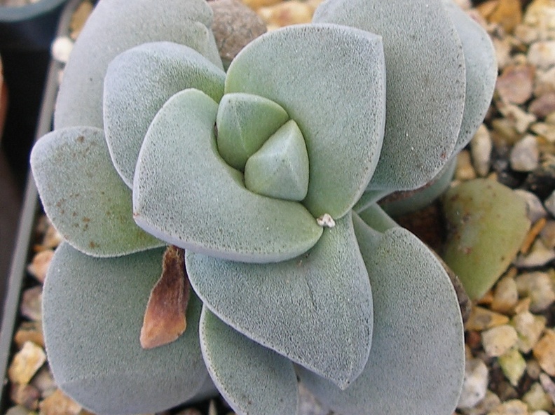 P5090057
