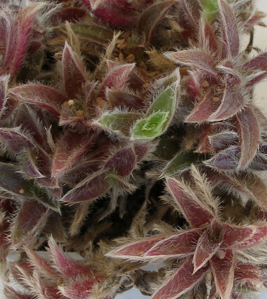 P5099958.JPG