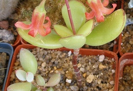 P5099988