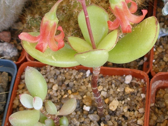 P5099988