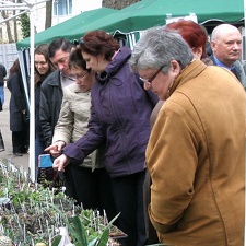 Выставка 15-17.04.2011 в &quot;Ваш сад&quot;