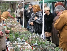 Выставка 15-17.04.2011 в &quot;Ваш сад&quot;