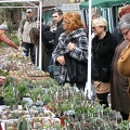 Выставка 15-17.04.2011 в &quot;Ваш сад&quot;