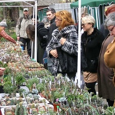 Выставка 15-17.04.2011 в &quot;Ваш сад&quot;
