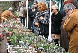 Выставка 15-17.04.2011 в &quot;Ваш сад&quot;