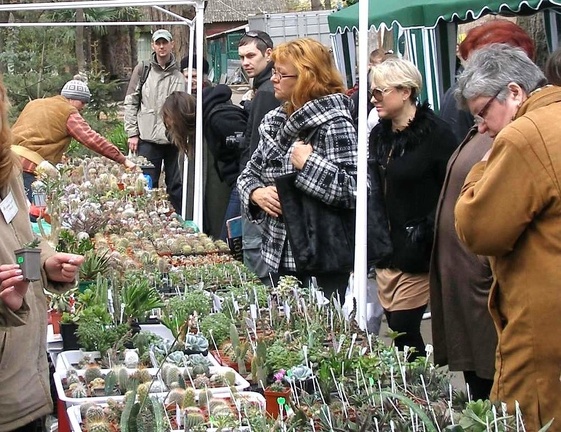 Выставка 15-17.04.2011 в &quot;Ваш сад&quot;