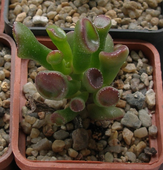 P4169891.JPG