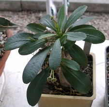 Выставка 15-17.04.2011 в &quot;Ваш сад&quot;