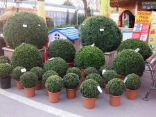 Выставка 11-12 апреля 2009 (Одесса)