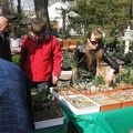 Выставка 11-12 апреля 2009 (Одесса)
