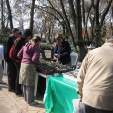 Выставка 11-12 апреля 2009 (Одесса)