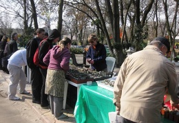 Виставки