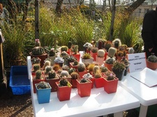 Выставка 11-12 апреля 2009 (Одесса)