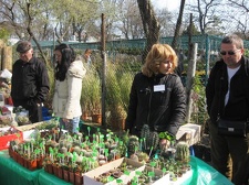 Выставка 11-12 апреля 2009 (Одесса)