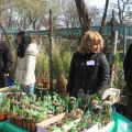 Выставка 11-12 апреля 2009 (Одесса)