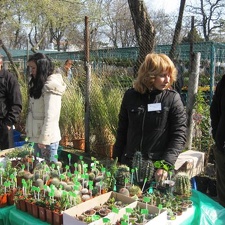 Выставка 11-12 апреля 2009 (Одесса)